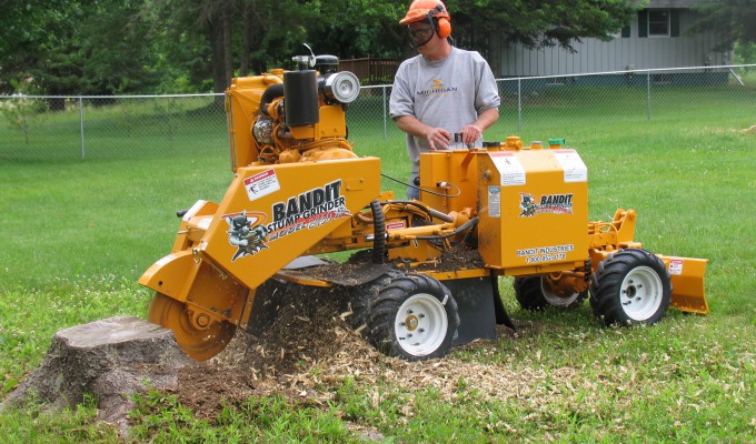 Model 2450